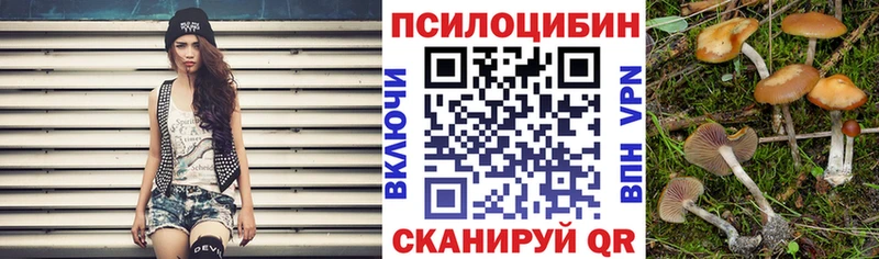 Галлюциногенные грибы Psilocybine cubensis  что такое   МЕГА   Кириши 
